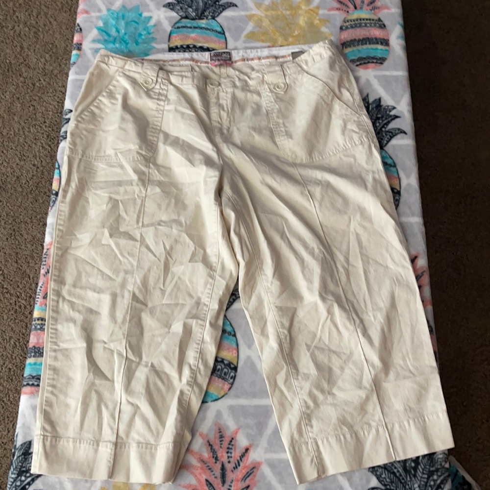 Capris - Picture 1 of 1